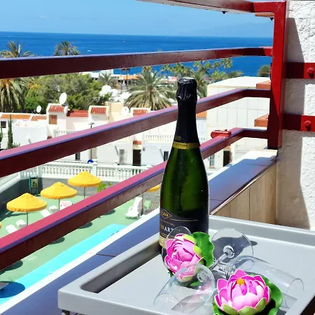 312 Olympia 1 Bedroom, Ocean View Wifi Free بلايا ذي لاس أميريكاس